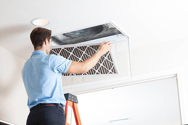 Best HVAC tune-up services  in Mililani Mauka, HI